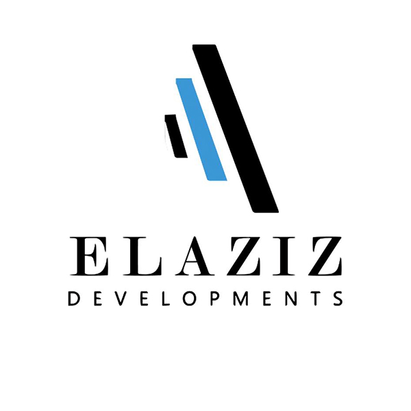 developer-logo